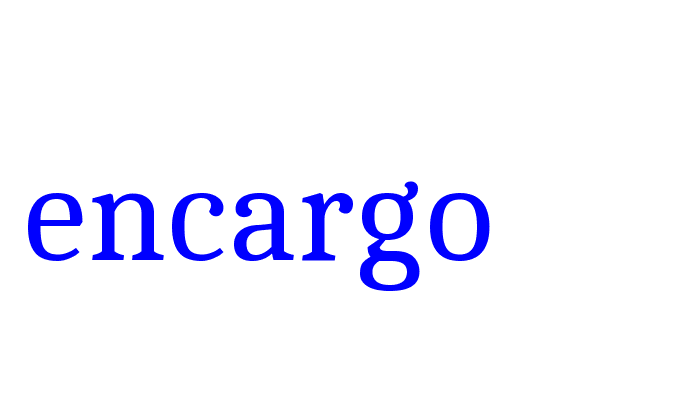 ENCARGO ACCESORIO